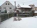 Třibřichy